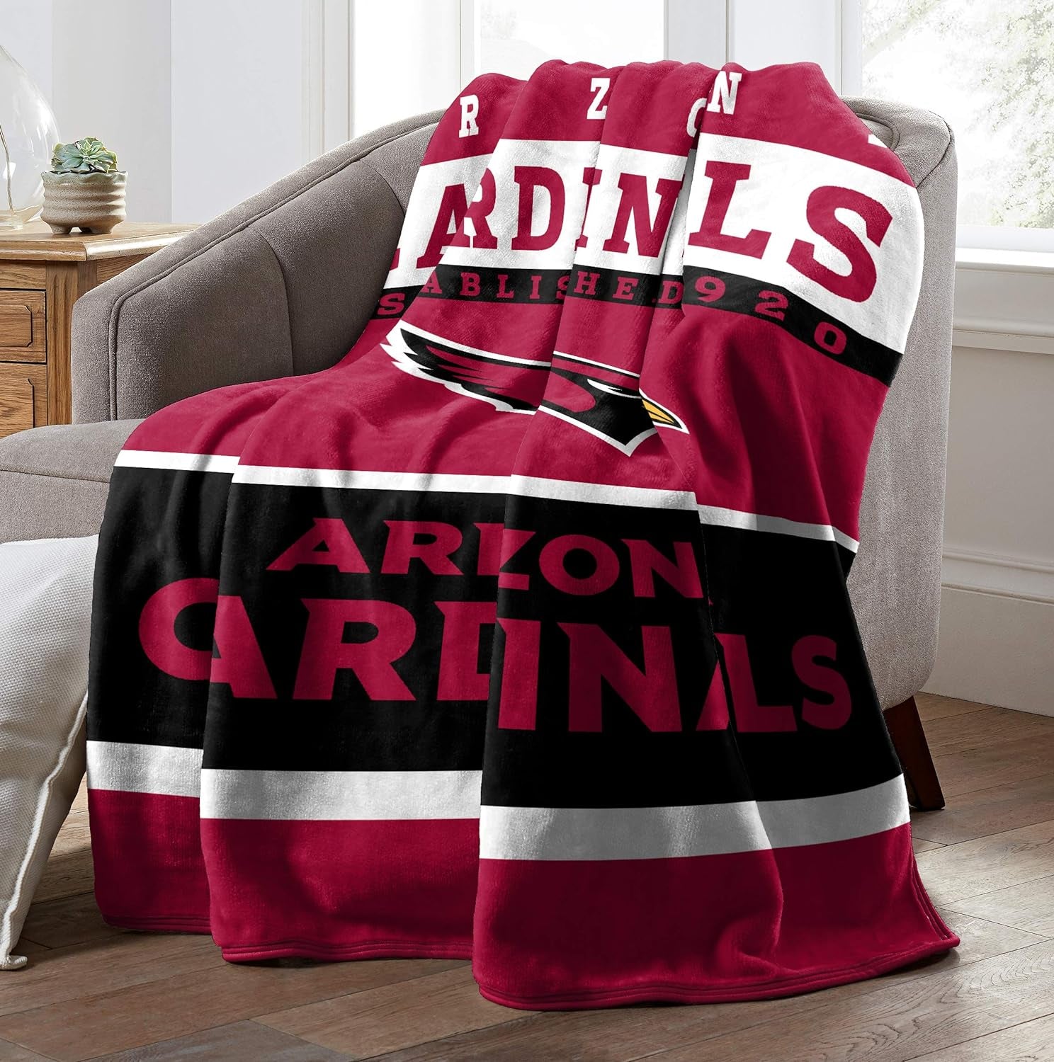 NFL Unisex-Adult Raschel Throw Blanket