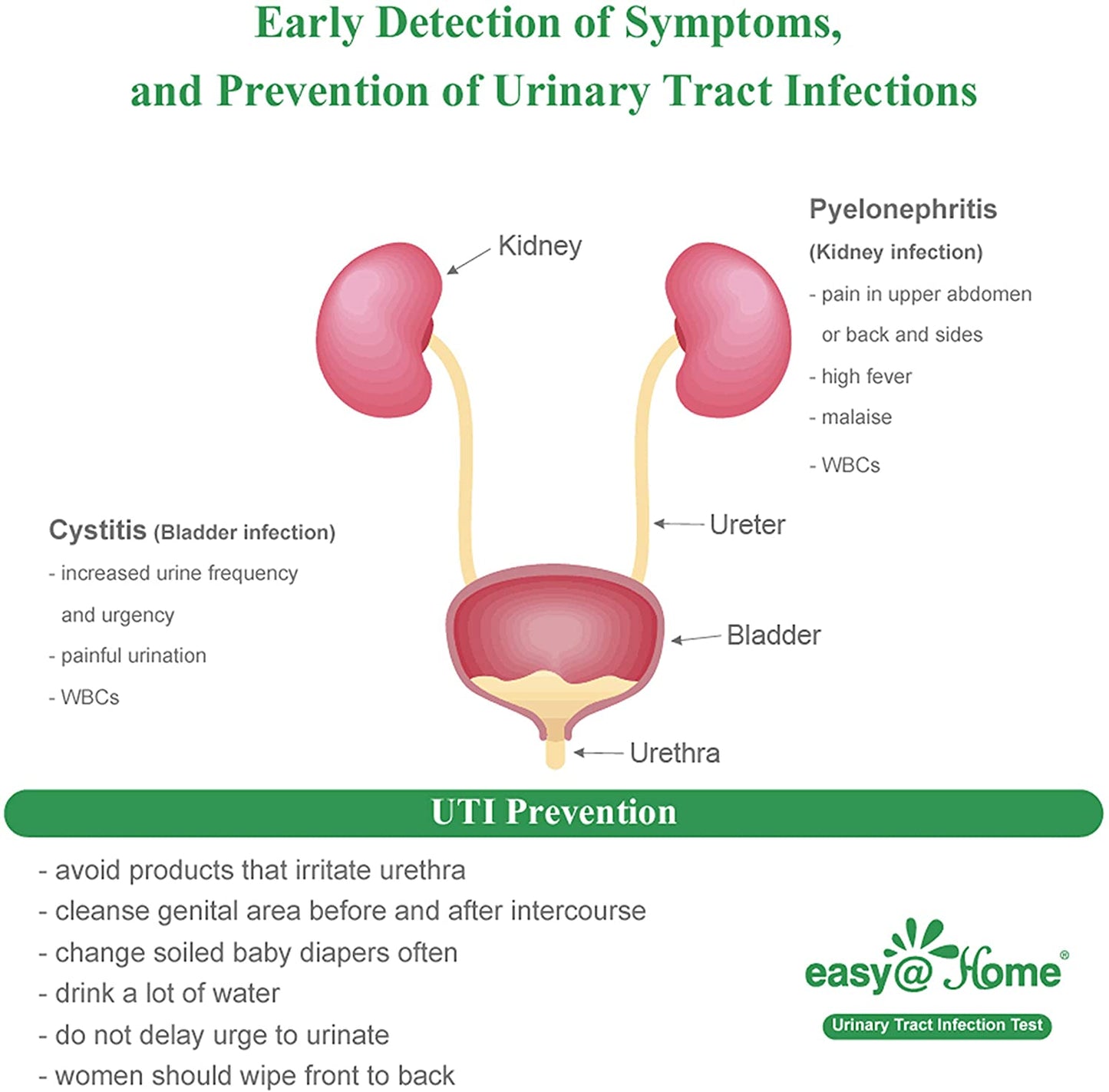 10 Individual Pouch Urinary Tract Infection FSA Eligible Test Strips, UTI Urine Testing Kit for Urinalysis and Detection of Leukocytes and Nitrites- (UTI-10P)